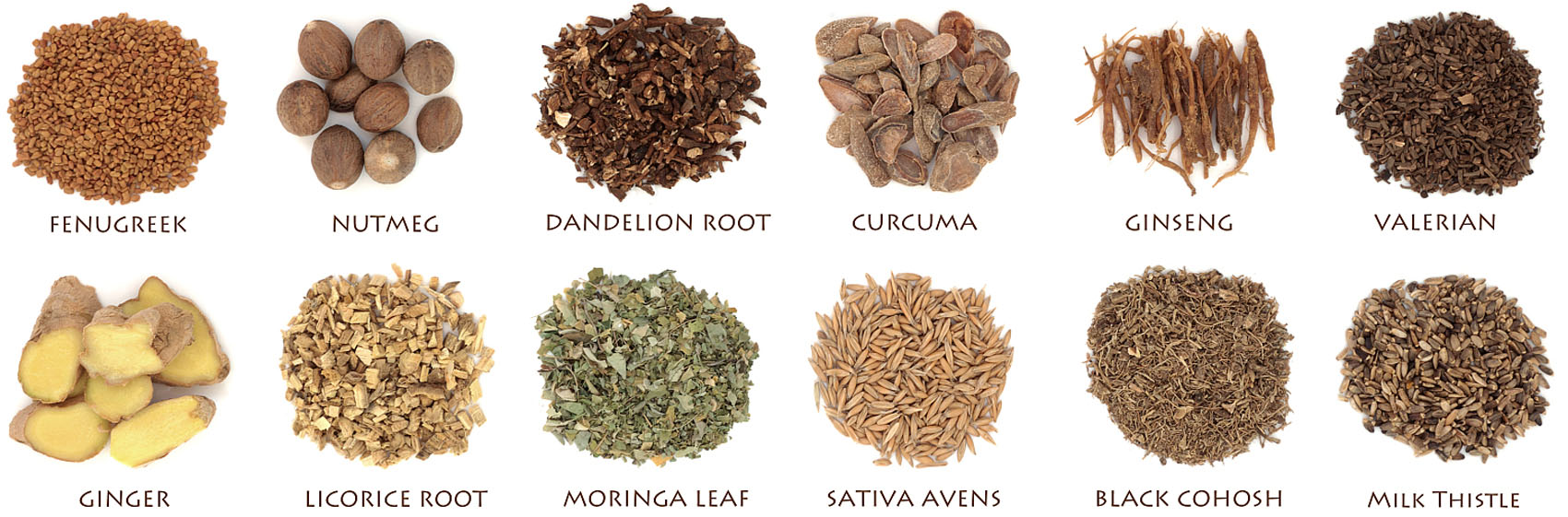 Root, Seeds & Herbs