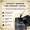 Shilajit Capsule