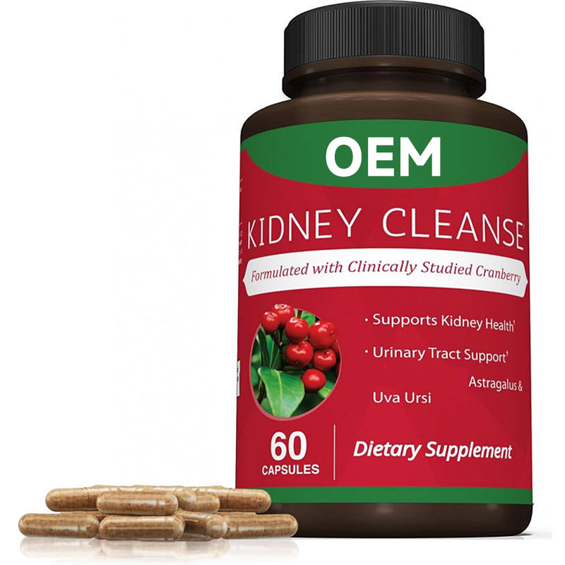 High Quality Kidney Support Formula 60 vegan nutrition Capsules 