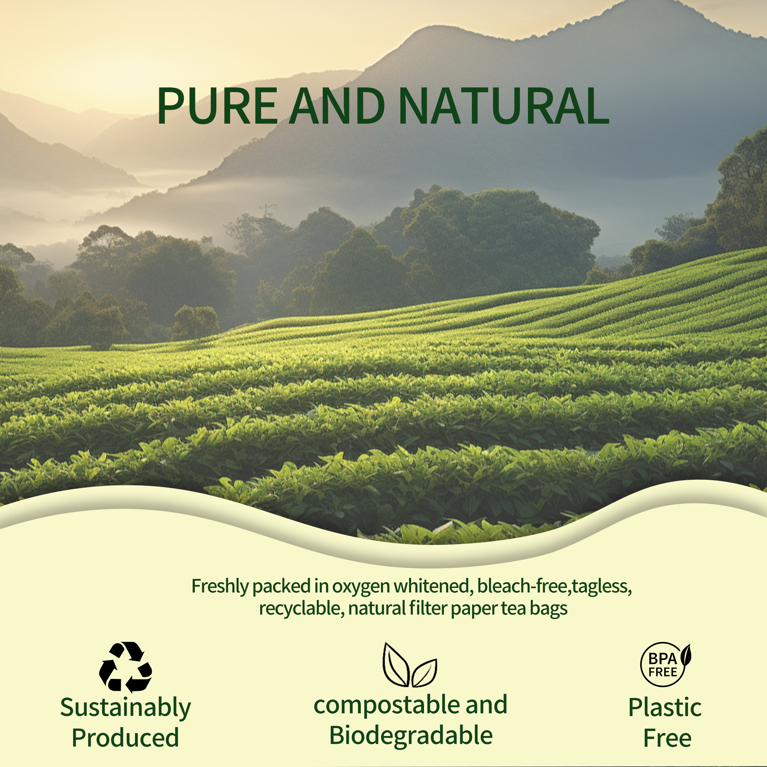 Organic Hibiscus Tea for Fat Burning, 50 Tea Bags, Pure Plant Ingredients, Corn Fiber