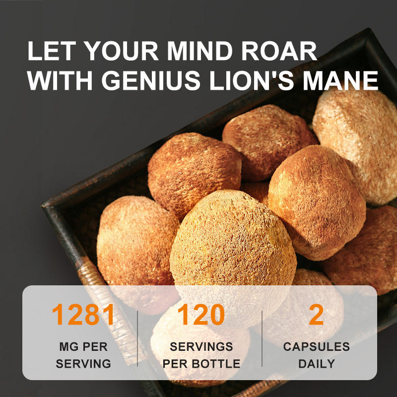 100% Lion Mane Mushroom Extract Capsule
