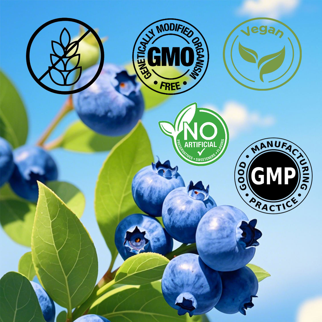 OEM vitamin and biotin gummies, promoting the health of hair, skin, nails, and bones