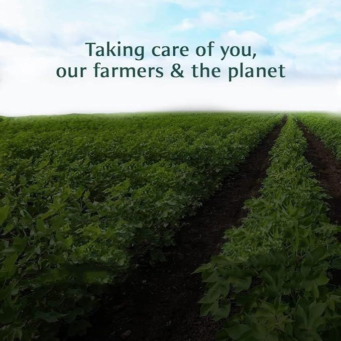 OEM Super Green Organic Food Multivitamin Powder Supplement for Adults Not for Pregnant Women