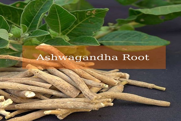 ginseng tea ginseng tea